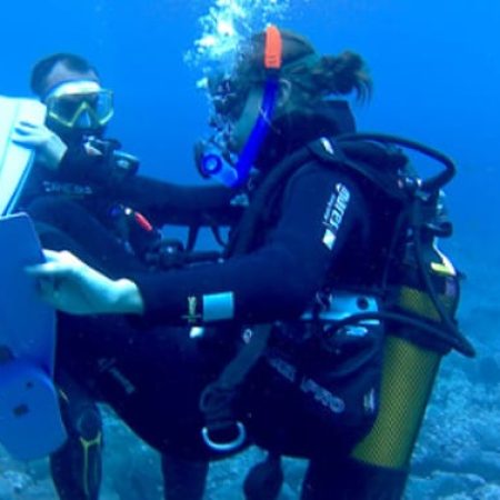 owd-centro-buceo-lanzaraote-northdiving